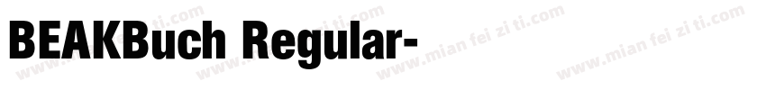BEAKBuch Regular字体转换